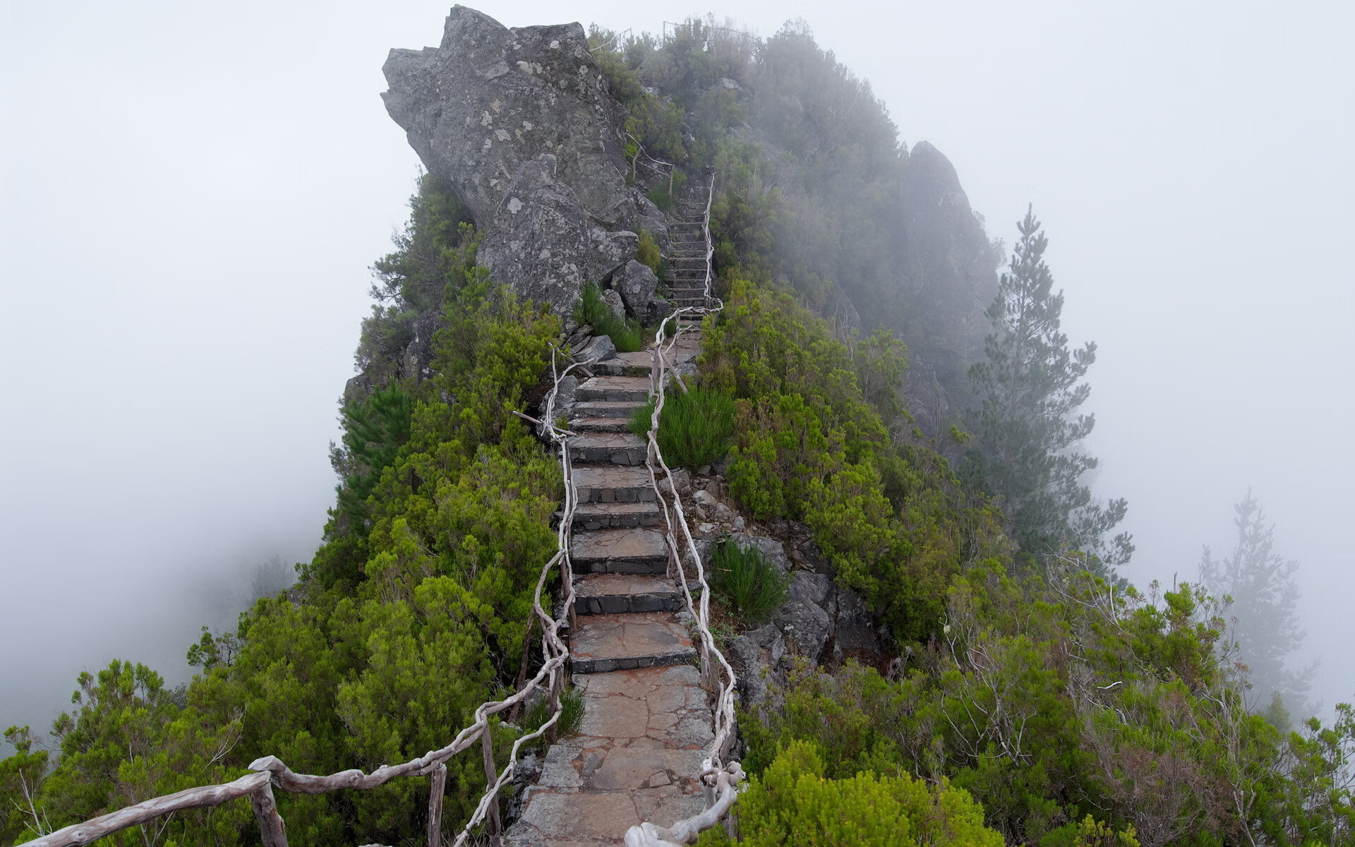 世界登山青年交流营成果公布：多支队伍技术提升明显，世界登山大师